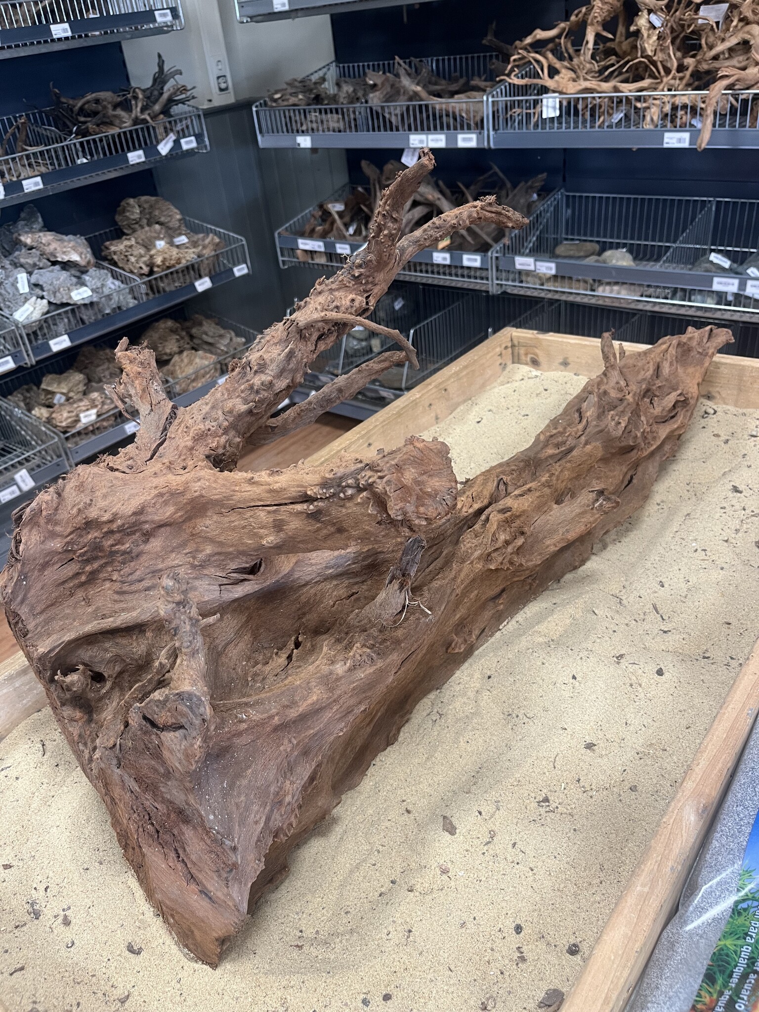 Selected Mangrovehout XL D 70-90cm