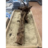 Selected Mangrovehout XL D 70-90cm