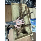 Selected Mangrovehout XL D 70-90cm