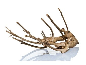 Talawa Hout L 50-70 cm