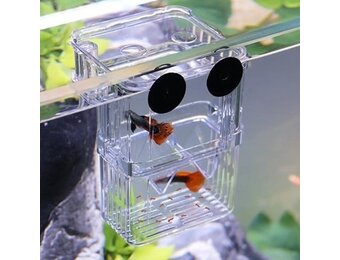 Aquarium kweekbakje S