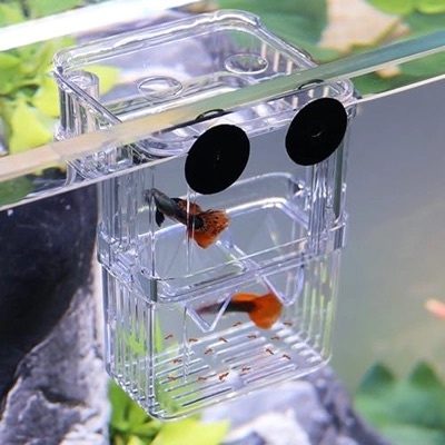 Aquarium kweekbakje S