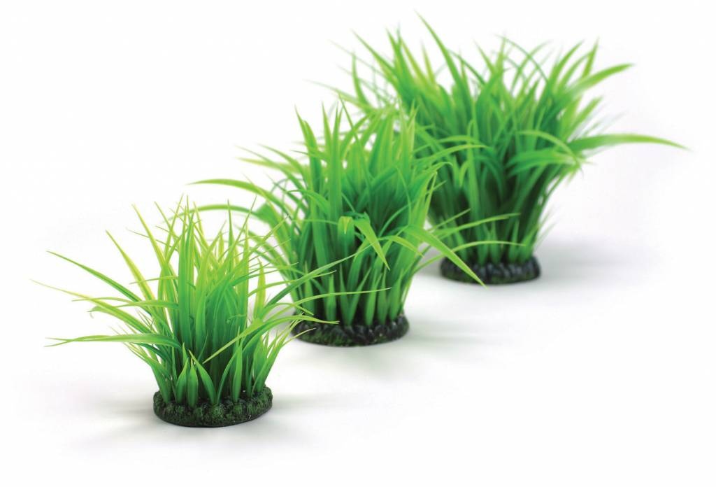 Grasring groen medium