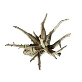 CORBO-ROOT XL 55-80 cm