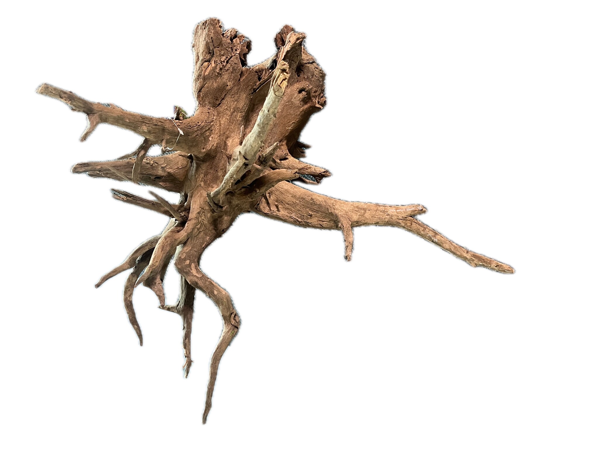 CORBO-ROOT XL 55-80 cm