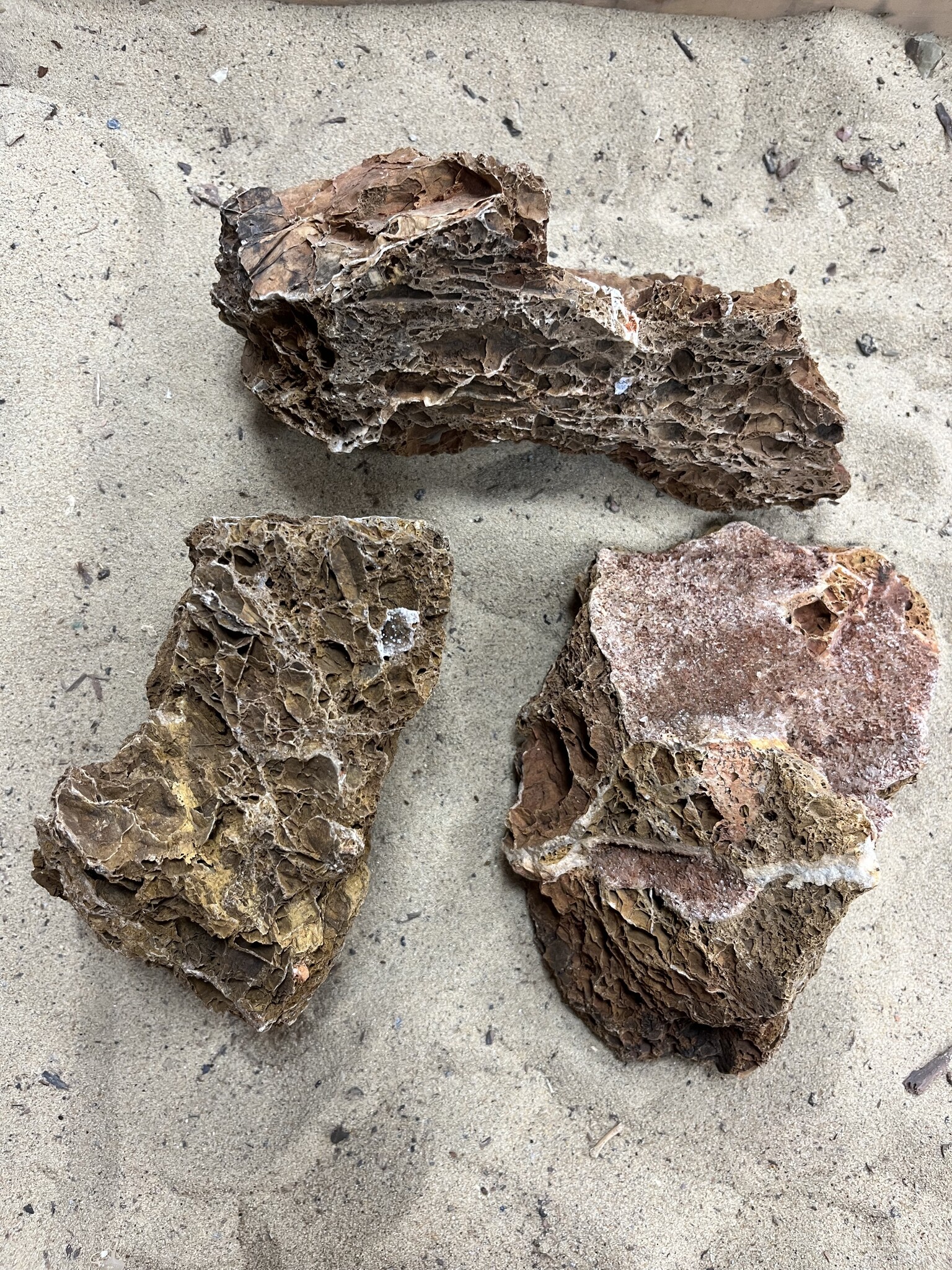 A Steenbundel Maple Leaf Rock bruin 3 stuks