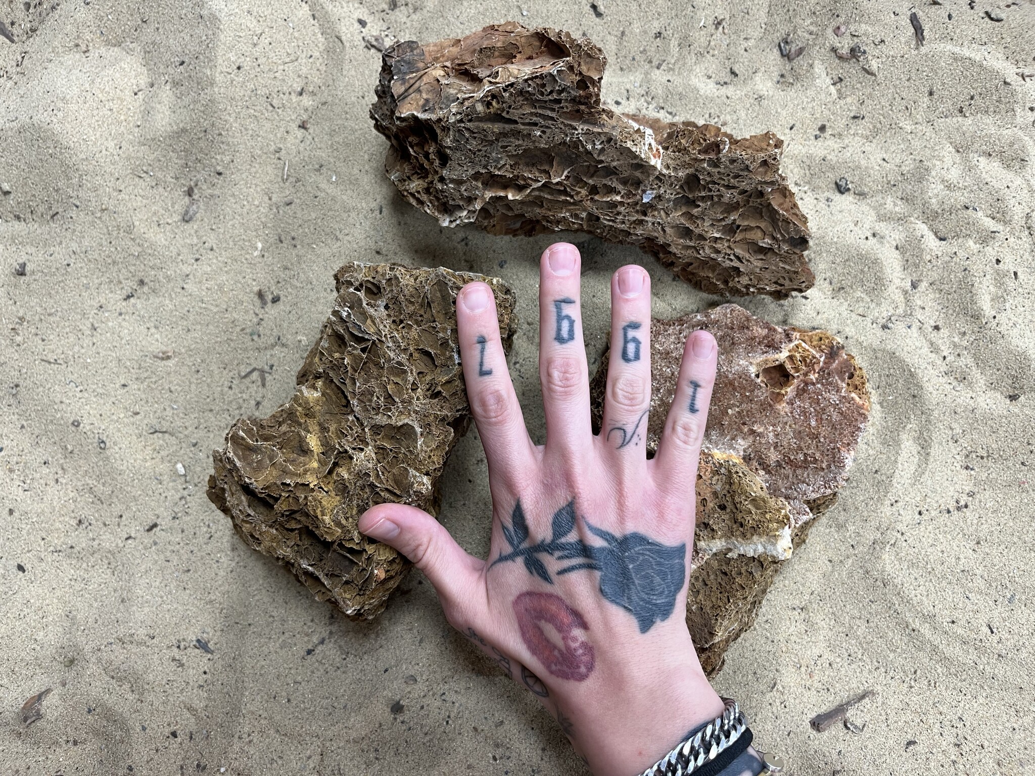 A Steenbundel Maple Leaf Rock bruin 3 stuks