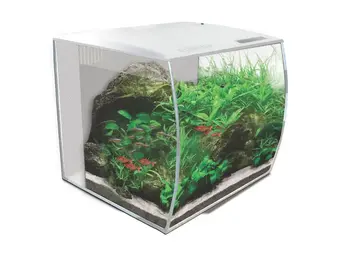 FL Flex Aquariumset 34L Wit