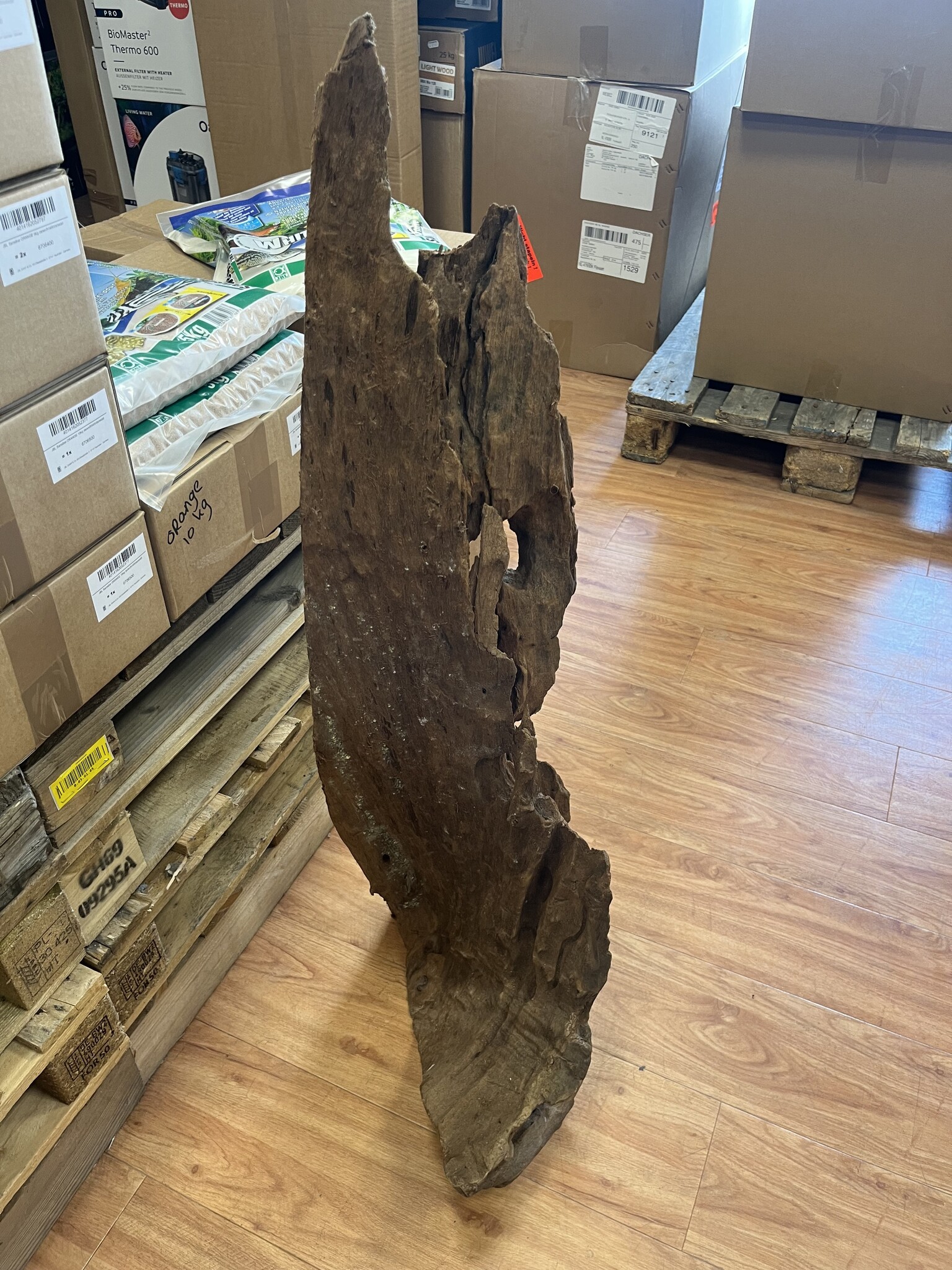 Selected Mangrovehout XL NR03 90-120cm