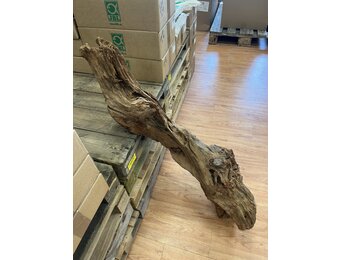 Selected Mangrovehout XL NR04 90-120cm