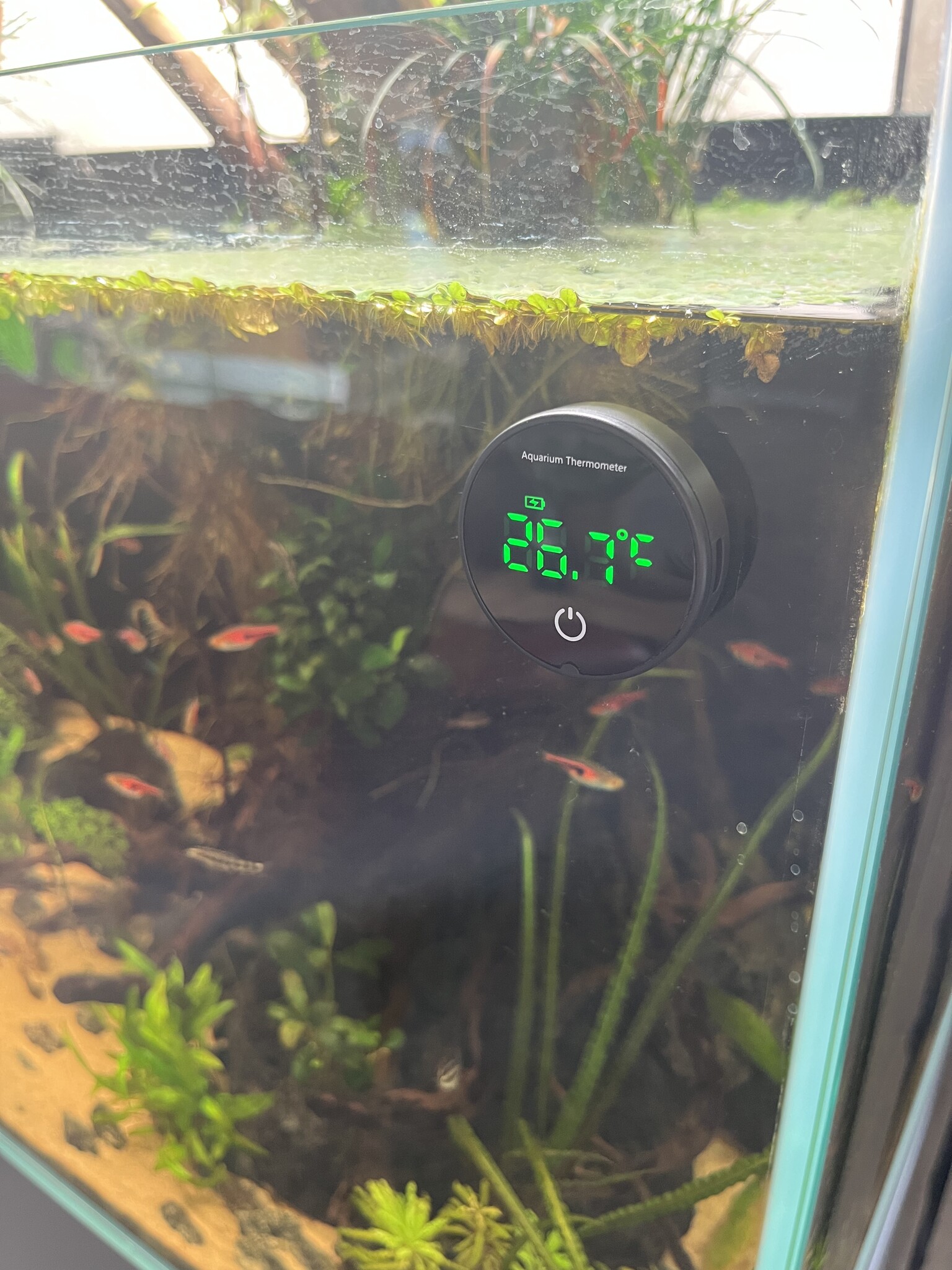 Aquarium/Terrarium Thermometer Oplaadbaar