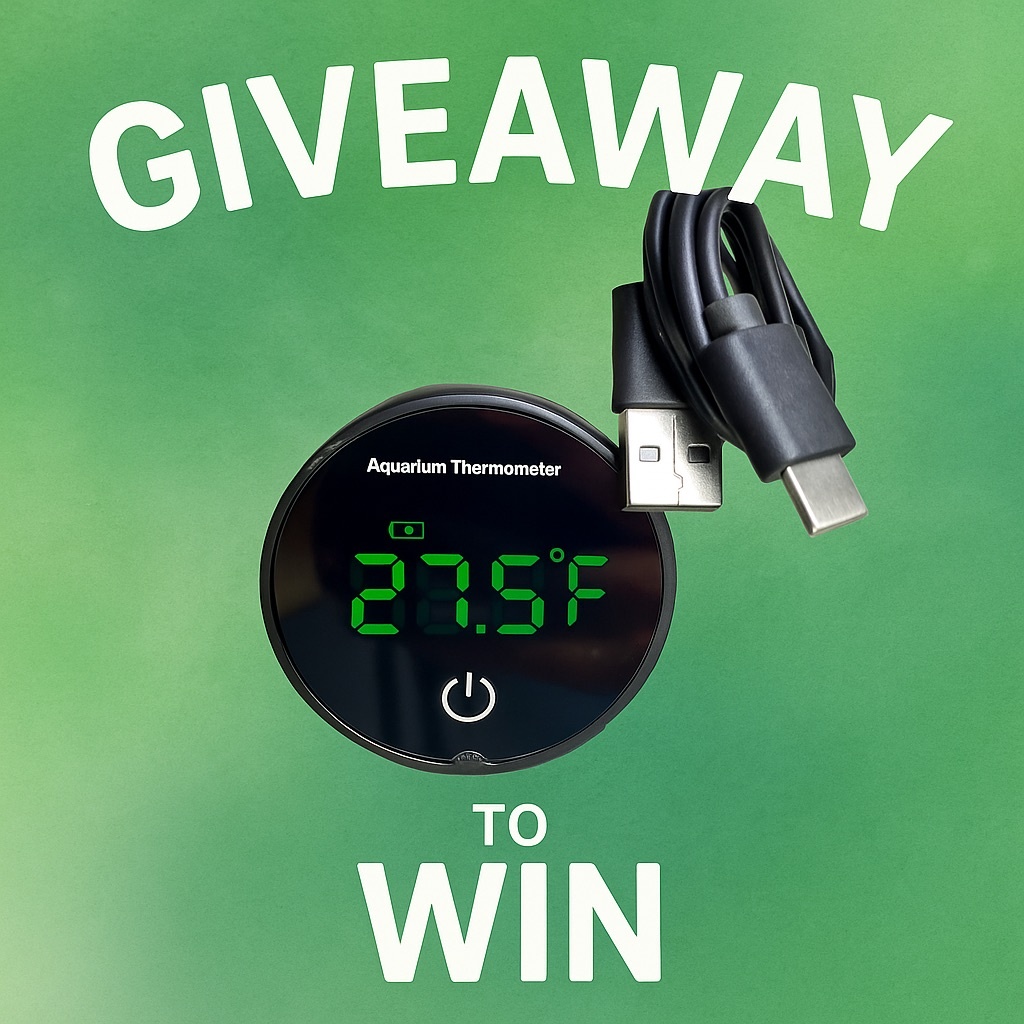 Actievoorwaarden WINACTIE