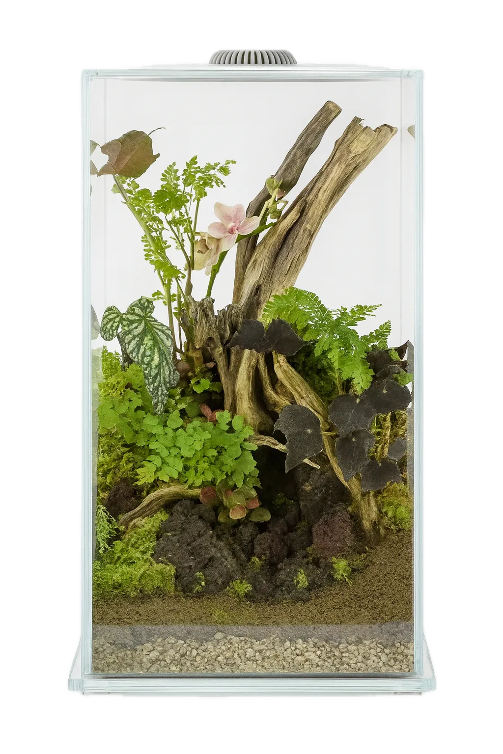 Wabi Kusa Miniatuurtuin 270 LED Wit