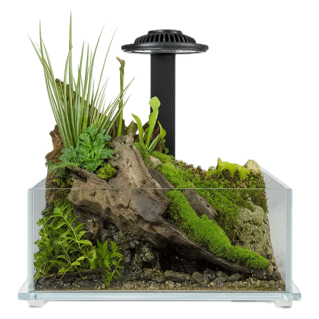 Wabi Kusa Miniatuurtuin LED Zwart