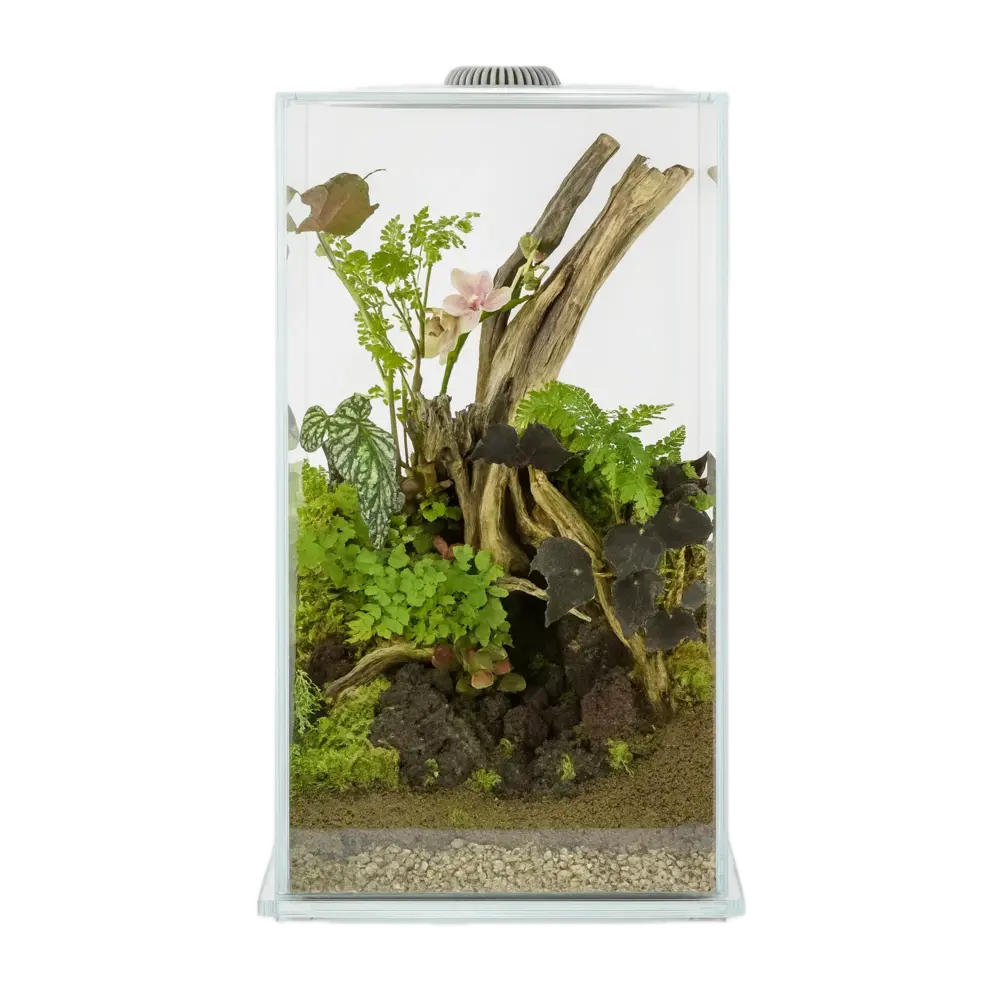 AquastoreXL Wabi Kusa Miniatuurtuin 220 LED Wit AquastoreXL aquastorexl-wabi-kusa-miniatuurtuin-220-led-wit-aquastorexl