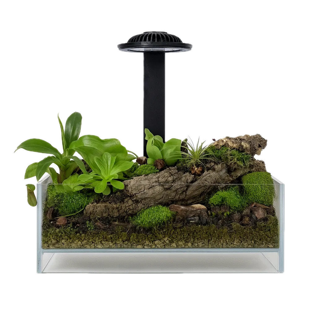 Wabi Kusa Plantenterrarium voor Miniatuurtuin LED Zwart