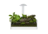 Wabi Kusa Wabi Kusa Miniatuur Plantenbak LED Wit