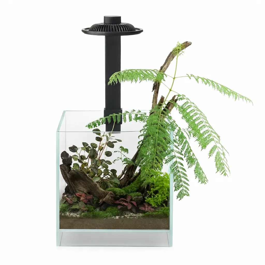 Wabi Kusa Plantenterrarium LED Zwart