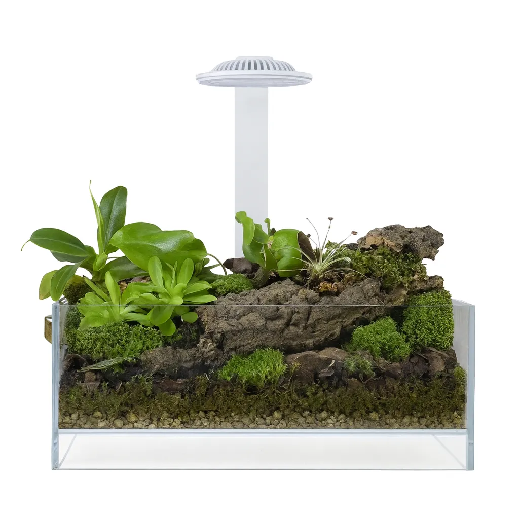 Wabi Kusa Plantenterrarium Miniatuurtuin LED Wit