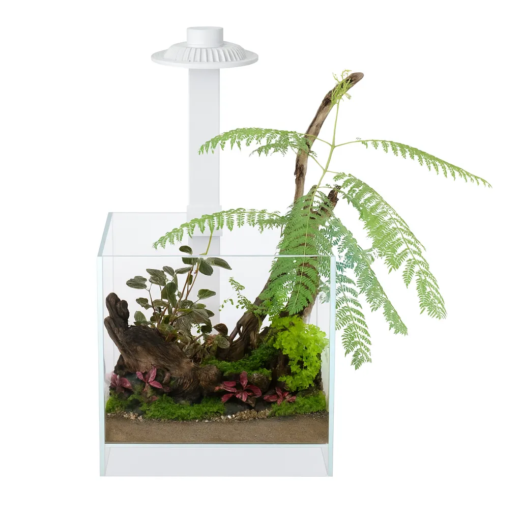 Wabi Kusa Open Plantenterrarium LED Wit