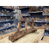 Mangrovehout XL (65-90 cm) A