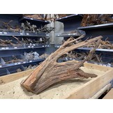 Mangrovehout XL (65-90 cm) B