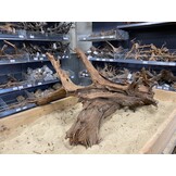 Mangrovehout XL (65-90 cm) C