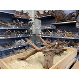 Mangrovehout XL (65-90 cm) C