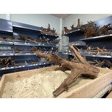 Mangrovehout XL (65-90 cm) E