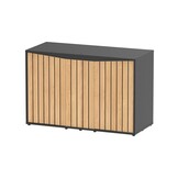 Meubel Splendid 120x50