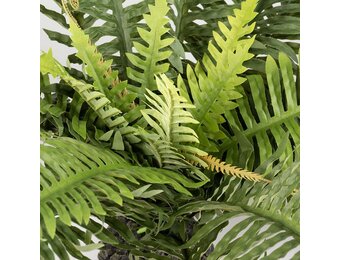 Realistische Kunstvaren voor Terrariums XL