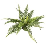 Realistische Kunstvaren voor Terrariums XL