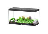 Aquarium Splendid 120x50 Ultra Pro RGBW