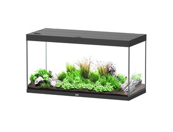 Aquarium Splendid 120x50 Ultra Pro RGBW