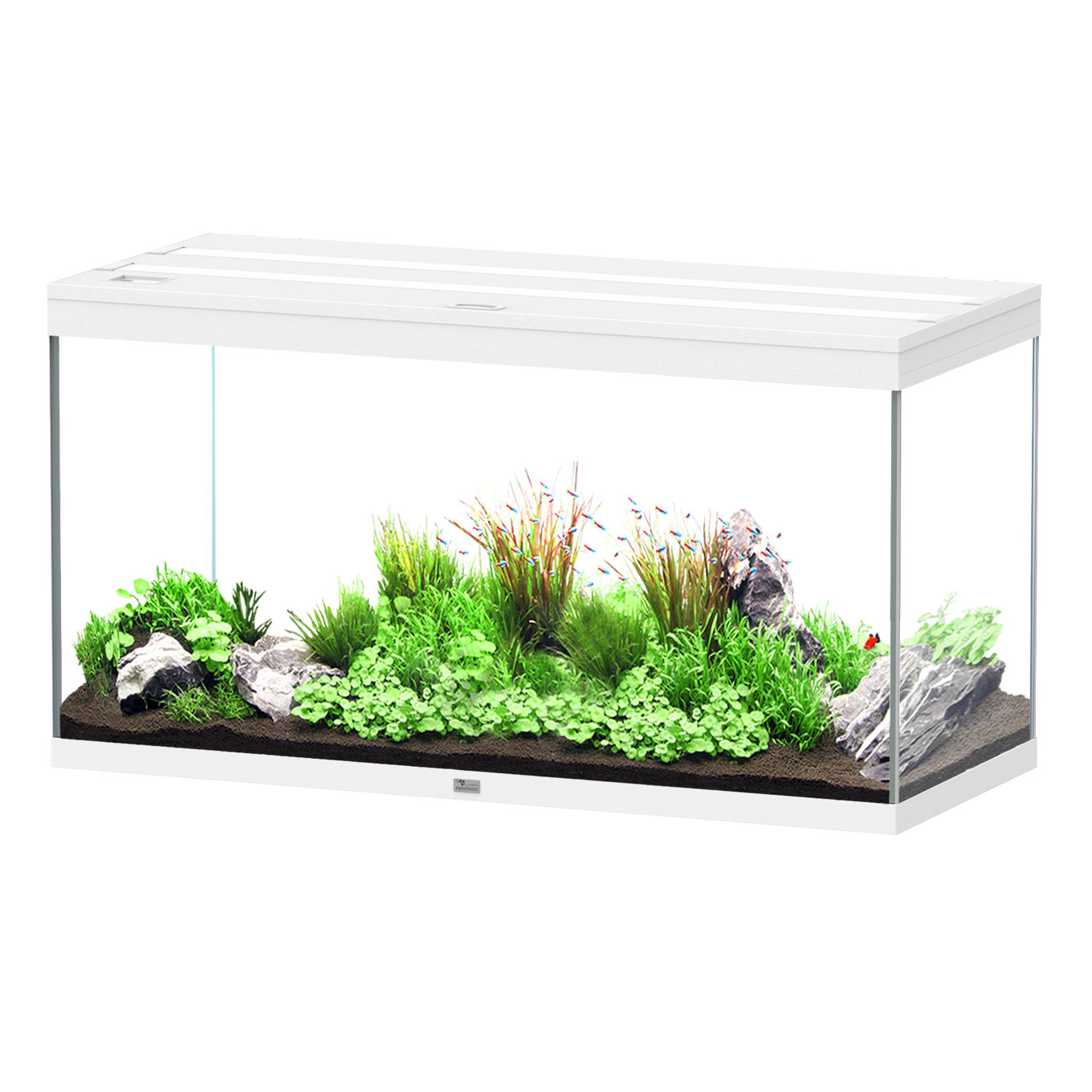 Aquarium Splendid 120x50 Ultra Pro RGBW