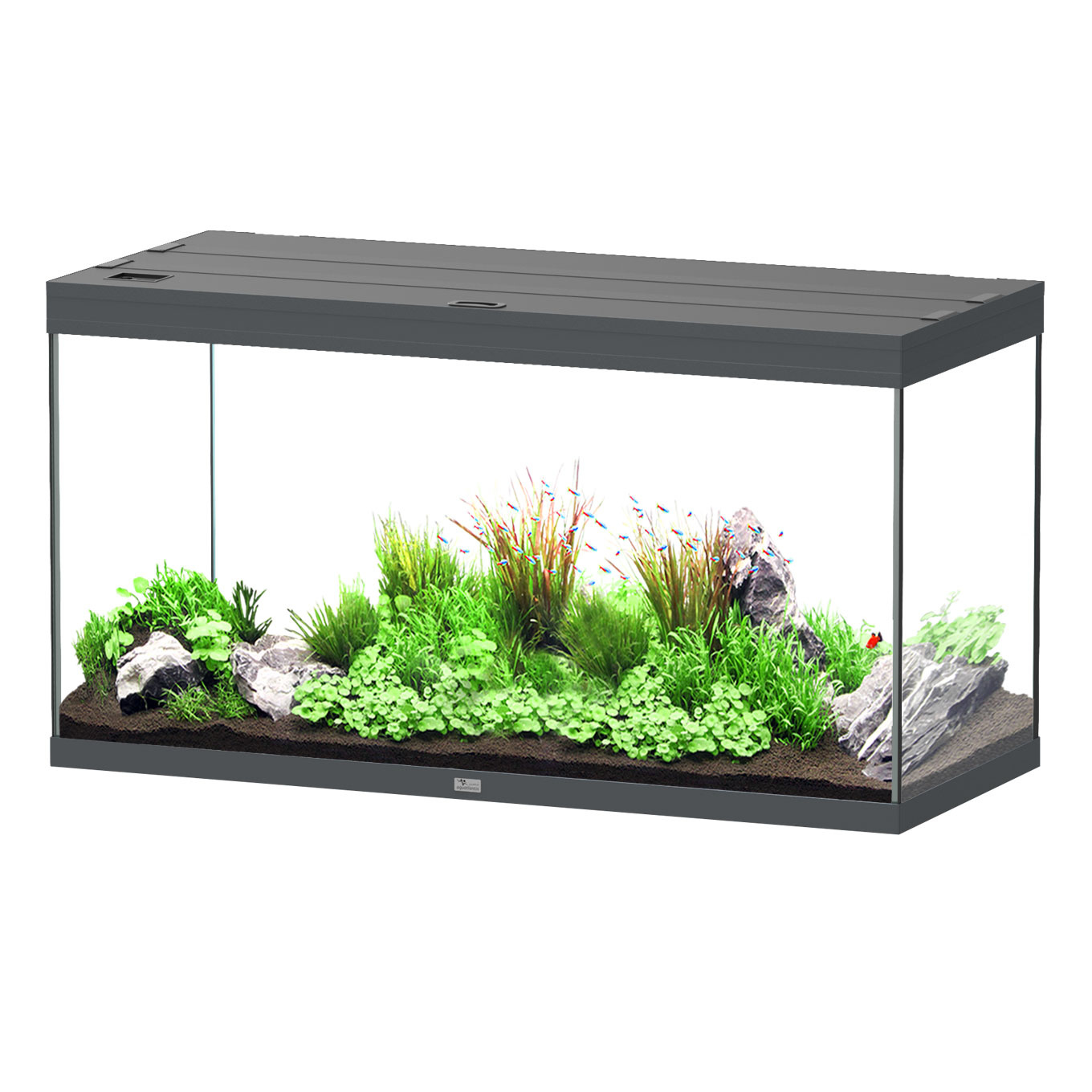 Aquarium Splendid 120x50 Ultra Pro RGBW