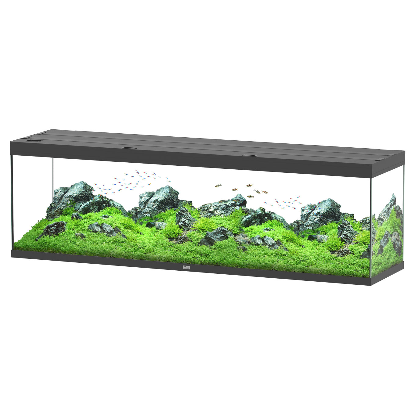 Aquarium Splendid 200 Ultra Pro RGBW