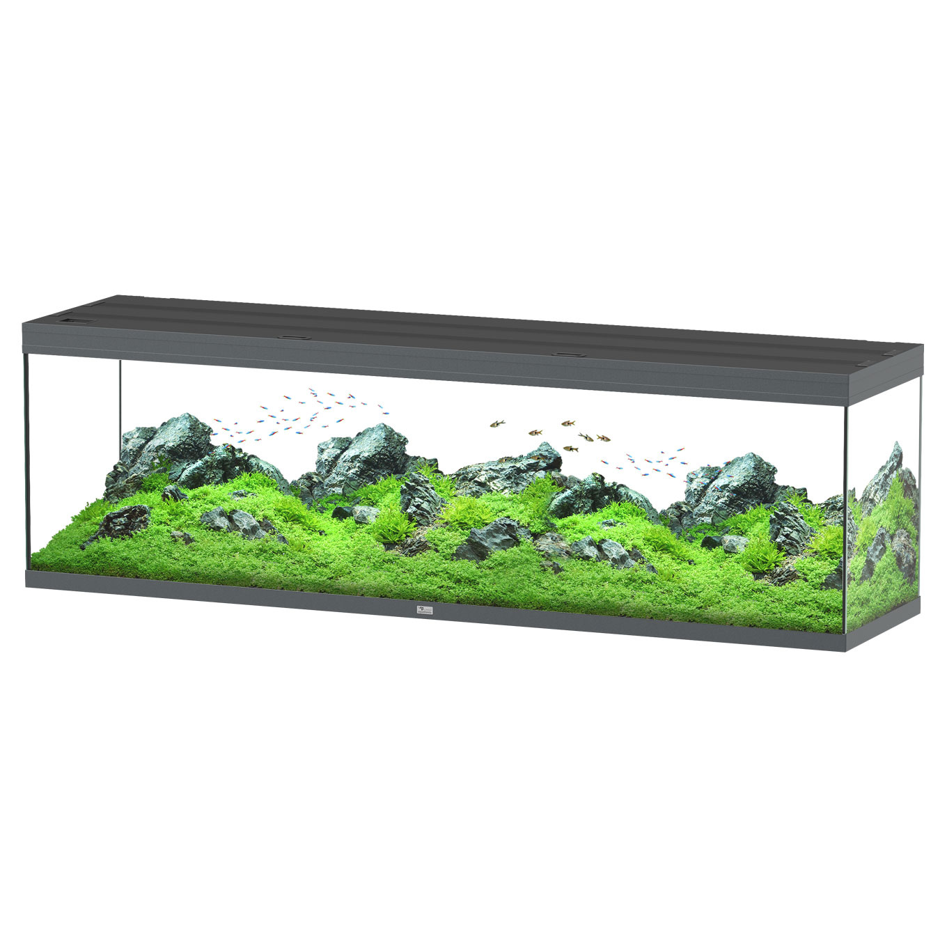 Aquarium Splendid 200 Ultra Pro RGBW