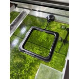 Aquarium Voederring, Drijvende Voerstation met Zuignap