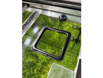 Aquarium Voederring, Drijvende Voerstation met Zuignap