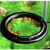 Aquarium Voederring, Drijvende Voerstation met Zuignap