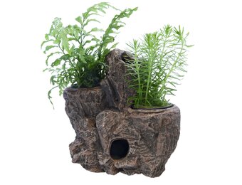 Scapers Floating Planty M