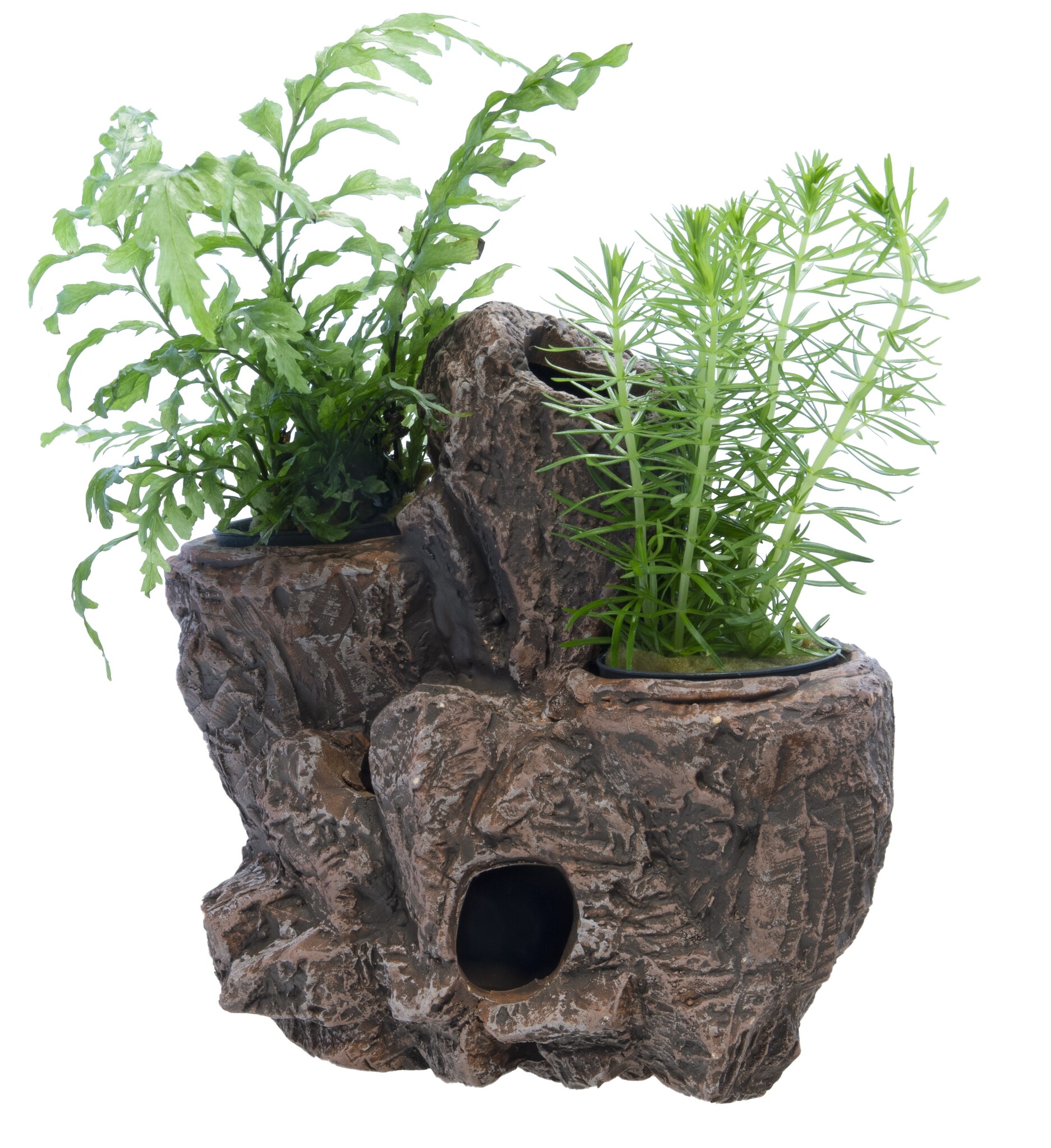 Scapers Floating Planty M