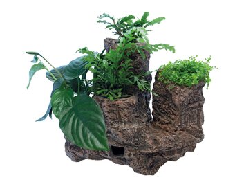 Scapers Floating Planty L