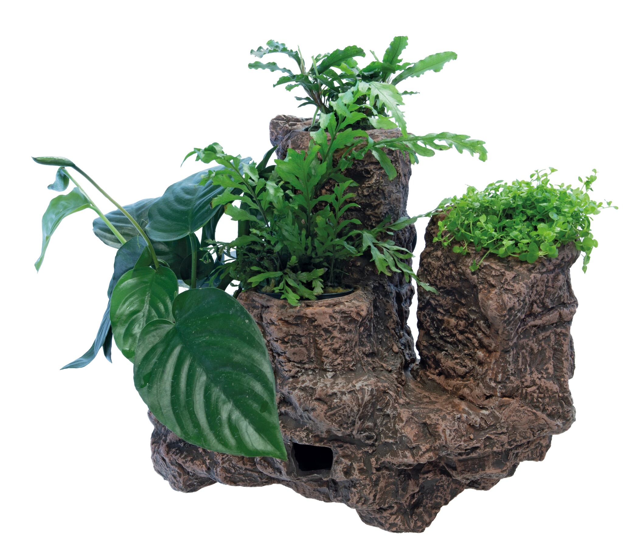 Scapers Floating Planty L