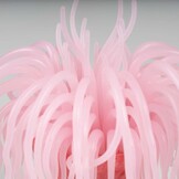 Kunstplant Anemoon Roze