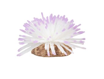 Kunstplant Anemoon Wit