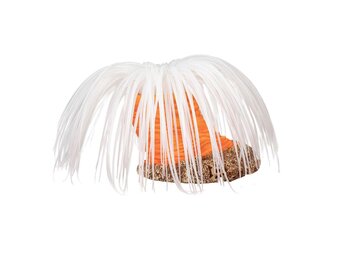 Kunstplant Anemoon Cerianthus Wit