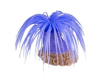 Kunstplant Anemoon Cerianthus Paars