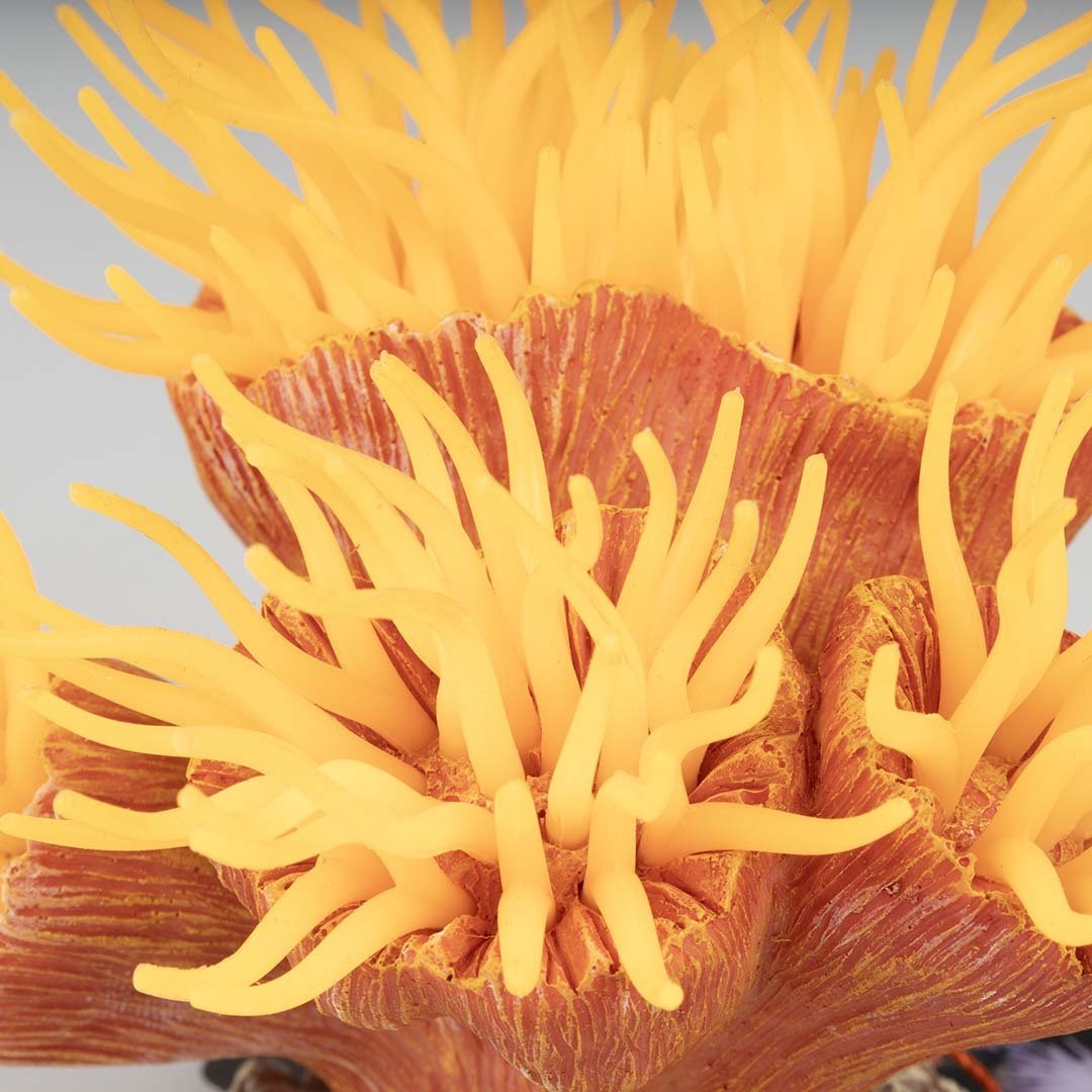 Kunstplant Euphyllia Oranje